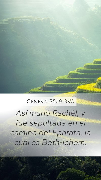 Génesis 35:19 RVA Bible Verse Image
