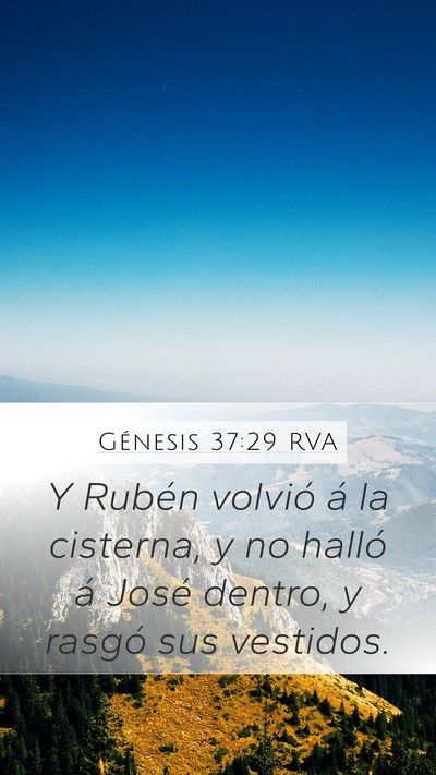 Génesis 37:29 RVA Bible Verse Image