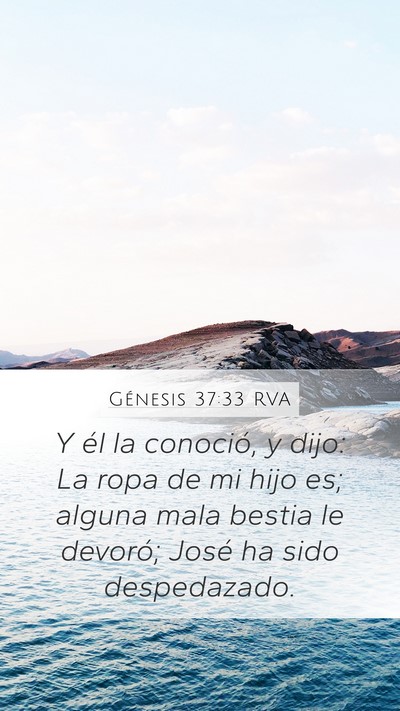 Génesis 37:33 RVA Bible Verse Image