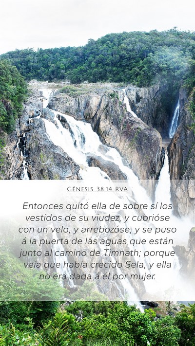 Génesis 38:14 RVA Bible Verse Image