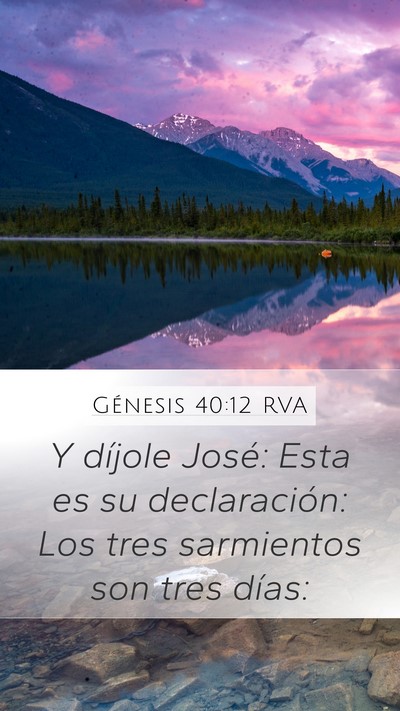 Génesis 40:12 RVA Mobile Phone Wallpaper - Y díjole José: Esta es su declaración: Los - Mobile Bible Verse Wallpaper