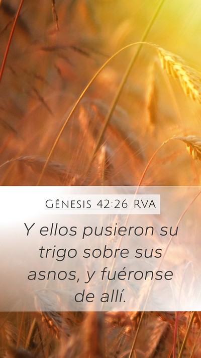 Génesis 42:26 RVA Mobile Phone Wallpaper - Y ellos pusieron su trigo sobre sus asnos, y - Mobile Bible Verse Wallpaper