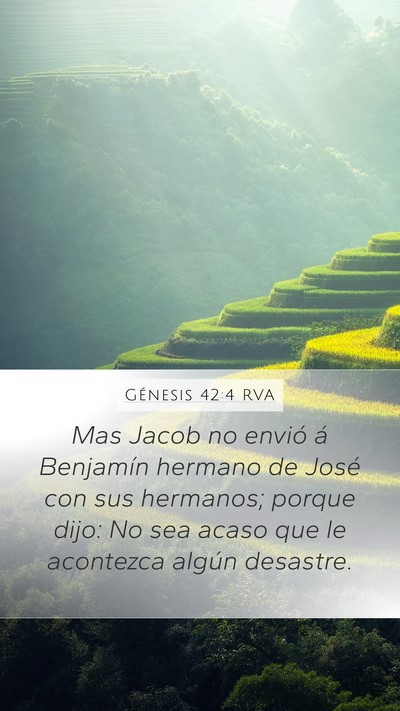 Génesis 42:4 RVA Mobile Phone Wallpaper - Mas Jacob no envió á Benjamín hermano de José - Mobile Bible Verse Wallpaper