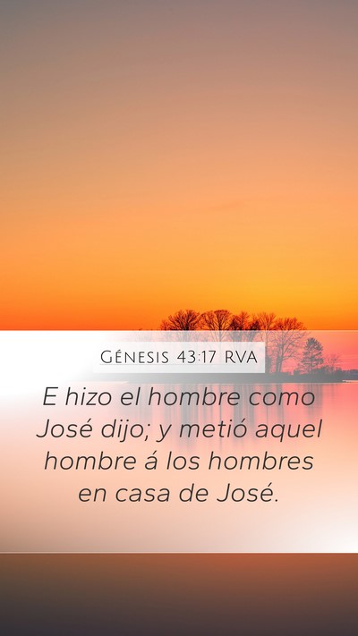 Génesis 43:17 RVA Mobile Phone Wallpaper - E hizo el hombre como José dijo; y metió aquel - Mobile Bible Verse Wallpaper