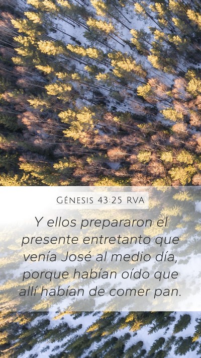 Génesis 43:25 RVA Bible Verse Image
