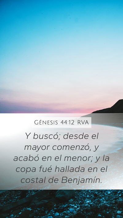 Génesis 44:12 RVA Mobile Phone Wallpaper - Y buscó; desde el mayor comenzó, y acabó en el - Mobile Bible Verse Wallpaper