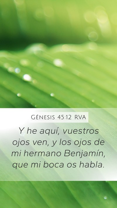 Génesis 45:12 RVA Mobile Phone Wallpaper - Y he aquí, vuestros ojos ven, y los ojos de mi - Mobile Bible Verse Wallpaper