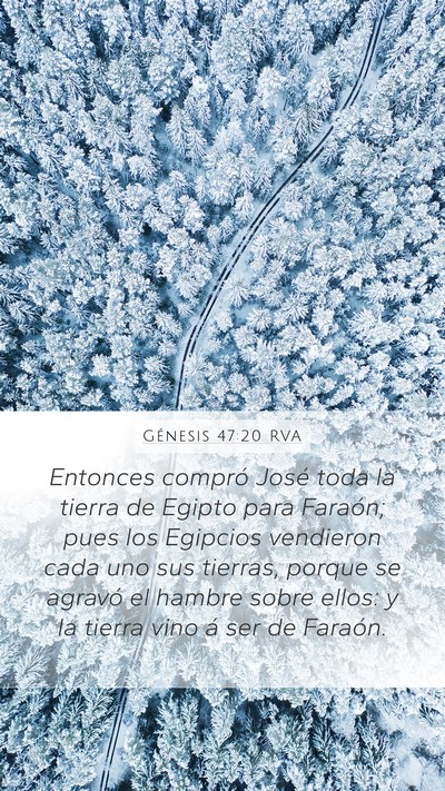 Génesis 47:20 RVA Mobile Phone Wallpaper - Entonces compró José toda la tierra de Egipto - Mobile Bible Verse Wallpaper