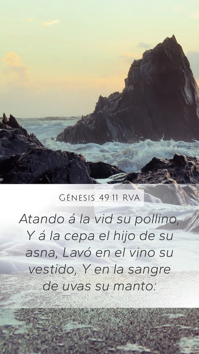 Génesis 49:11 RVA Bible Verse Image