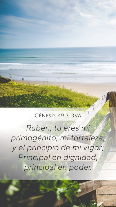 Génesis 49:3 RVA Bible Verse Image