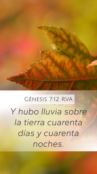 Génesis 7:12 RVA Mobile Phone Wallpaper - Y hubo lluvia sobre la tierra cuarenta días y - Mobile Bible Verse Wallpaper