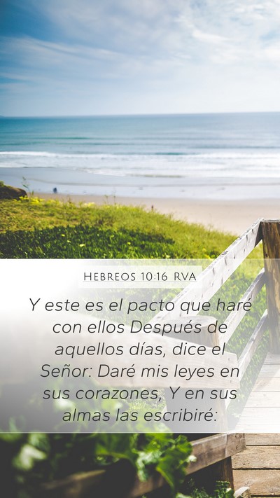 Hebreos 10:16 RVA Bible Verse Image