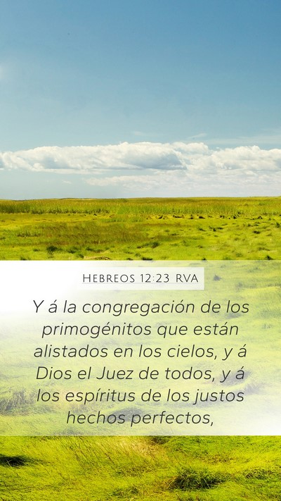 Hebreos 12:23 RVA Bible Verse Image