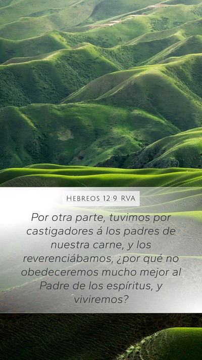 Hebreos 12:9 RVA Bible Verse Image
