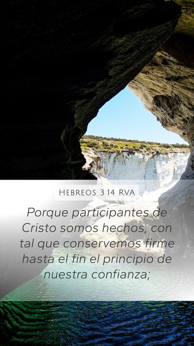 Hebreos 3:14 RVA Bible Verse Image