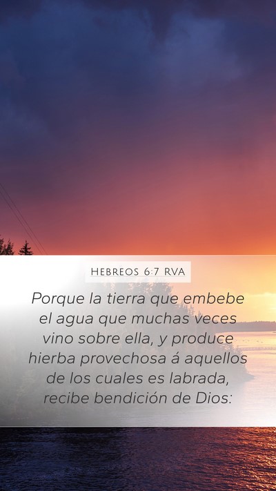 Hebreos 6:7 RVA Bible Verse Image