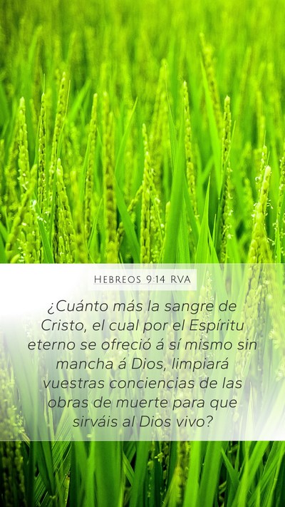 Hebreos 9:14 RVA Bible Verse Image