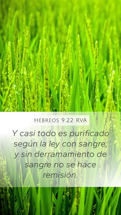 Hebreos 9:22 RVA Bible Verse Image