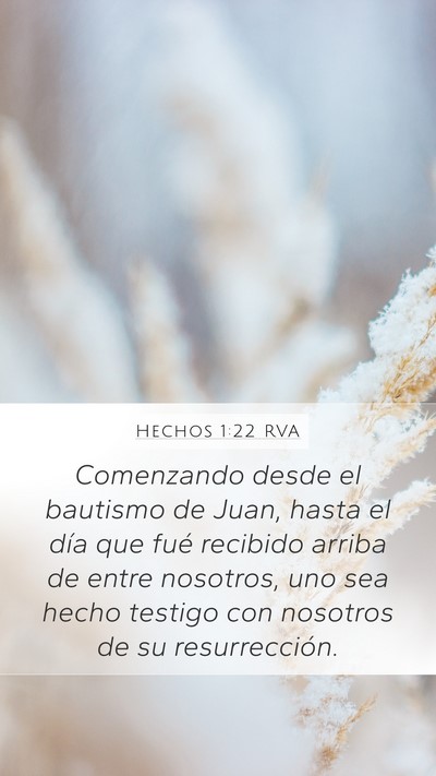 Hechos 1:22 RVA Bible Verse Image