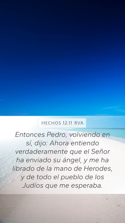 Hechos 12:11 RVA Bible Verse Image