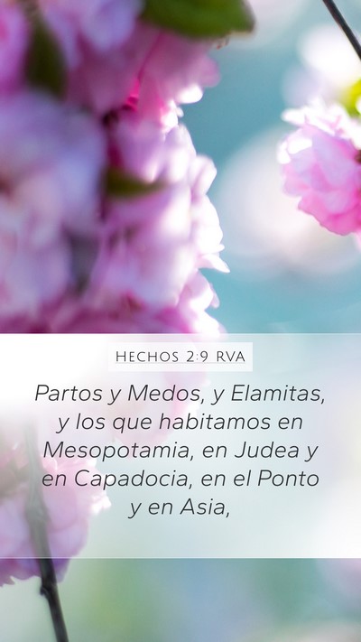 Hechos 2:9 RVA Bible Verse Image
