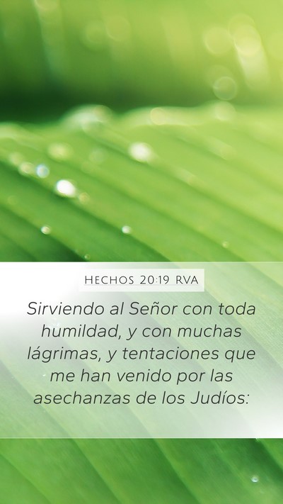 Hechos 20:19 RVA Bible Verse Image