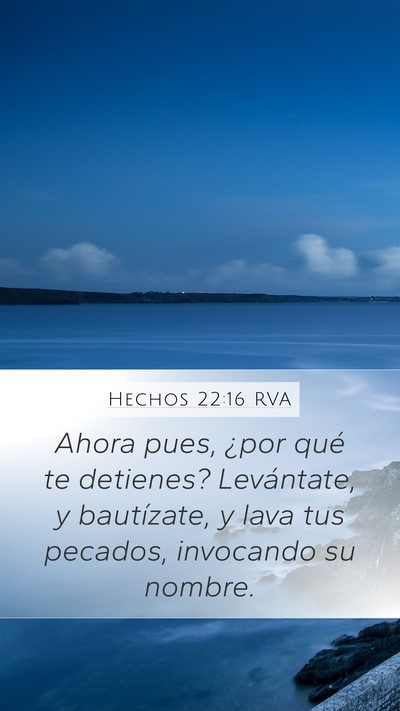 Hechos 22:16 RVA Bible Verse Image