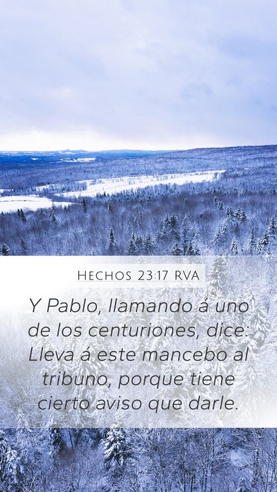 Hechos 23:17 RVA Bible Verse Image