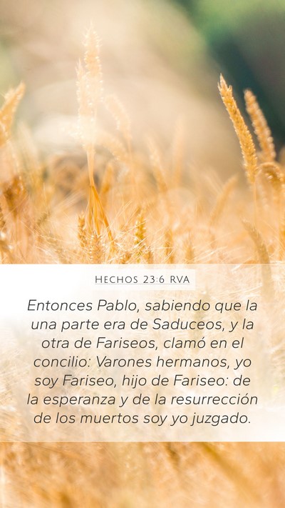 Hechos 23:6 RVA Bible Verse Image