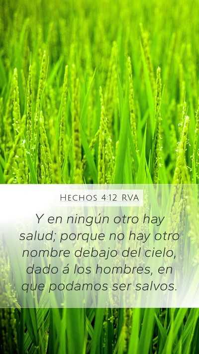 Hechos 4:12 RVA Bible Verse Image