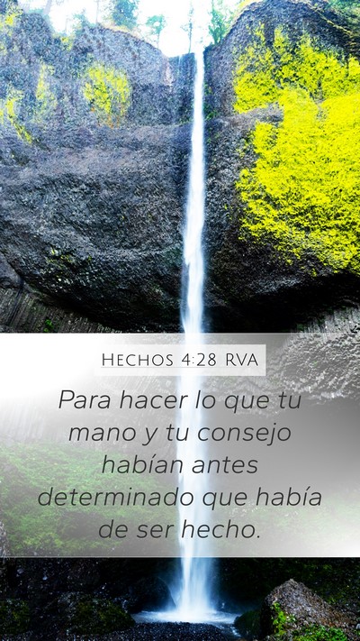 Hechos 4:28 RVA Bible Verse Image