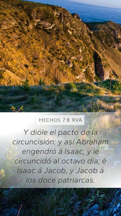 Hechos 7:8 RVA Bible Verse Image
