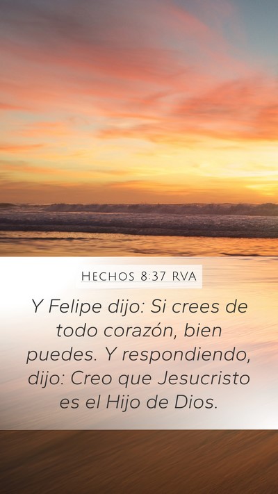 Hechos 8:37 RVA Mobile Phone Wallpaper - Y Felipe dijo: Si crees de todo corazón, bien - Mobile Bible Verse Wallpaper
