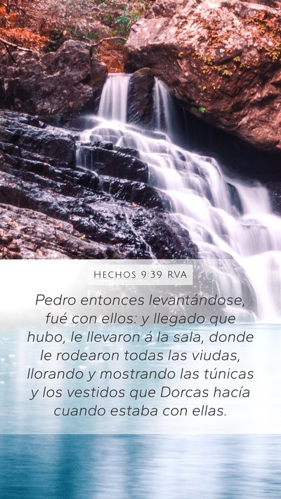 Hechos 9:39 RVA Bible Verse Image