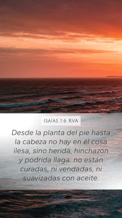 Isaías 1:6 RVA Bible Verse Image