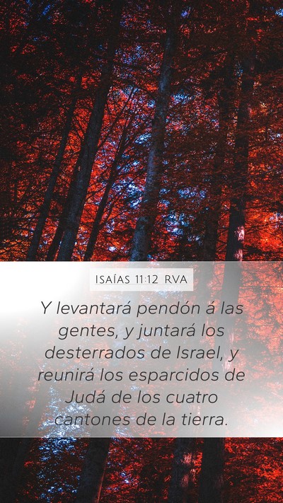 Isaías 11:12 RVA Bible Verse Image