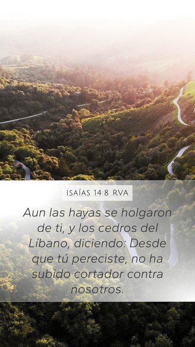 Isaías 14:8 RVA Bible Verse Image