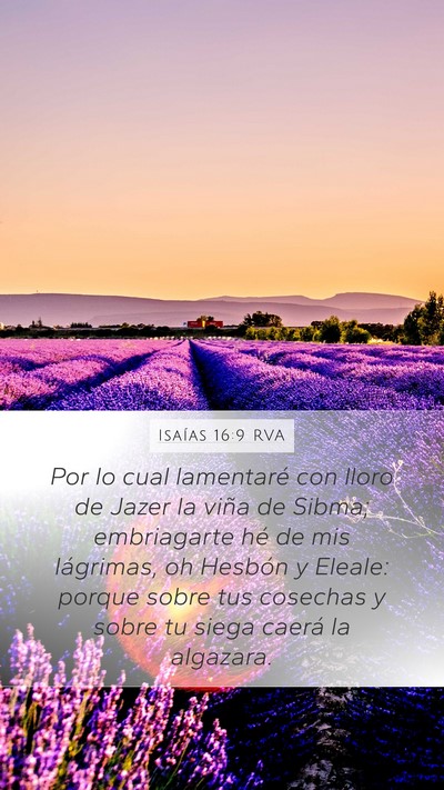 Isaías 16:9 RVA Bible Verse Image