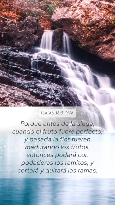 Isaías 18:5 RVA Bible Verse Image