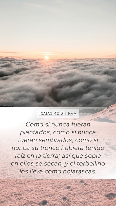 Isaías 40:24 RVA Bible Verse Image