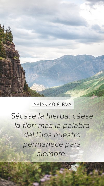 Isaías 40:8 RVA Bible Verse Image
