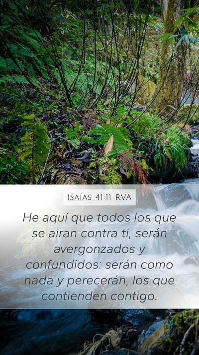 Isaías 41:11 RVA Bible Verse Image