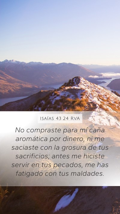 Isaías 43:24 RVA Bible Verse Image