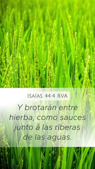 Isaías 44:4 RVA Bible Verse Image