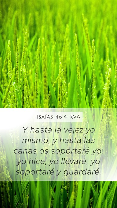 Isaías 46:4 RVA Bible Verse Image