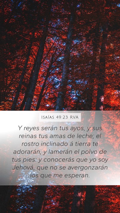 Isaías 49:23 RVA Bible Verse Image