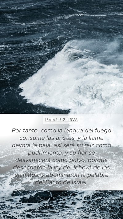 Isaías 5:24 RVA Bible Verse Image