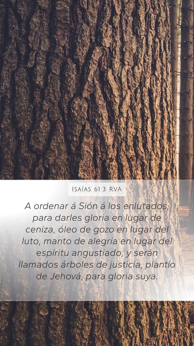 Isaías 61:3 RVA Bible Verse Image