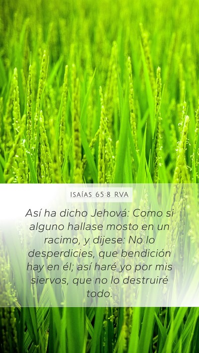 Isaías 65:8 RVA Bible Verse Image