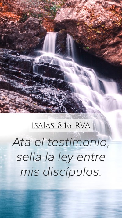 Isaías 8:16 RVA Bible Verse Image